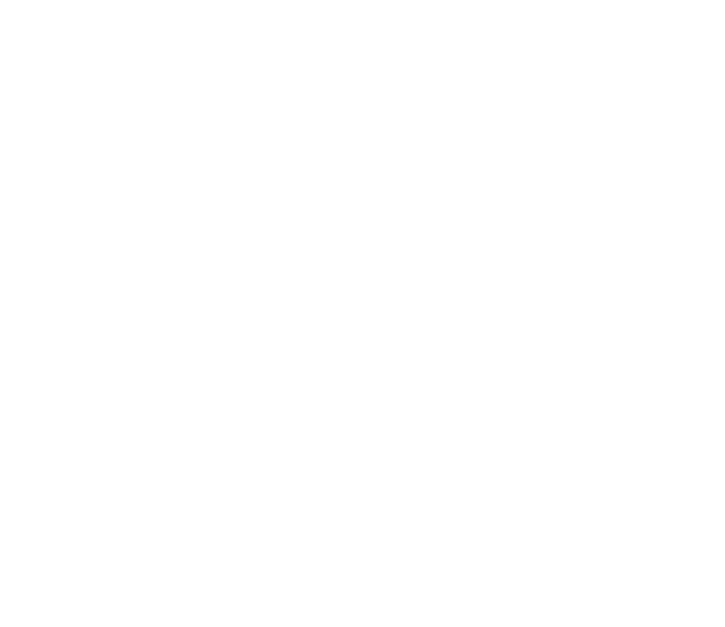 Bongo Joe