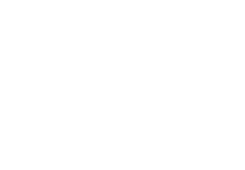 LANES